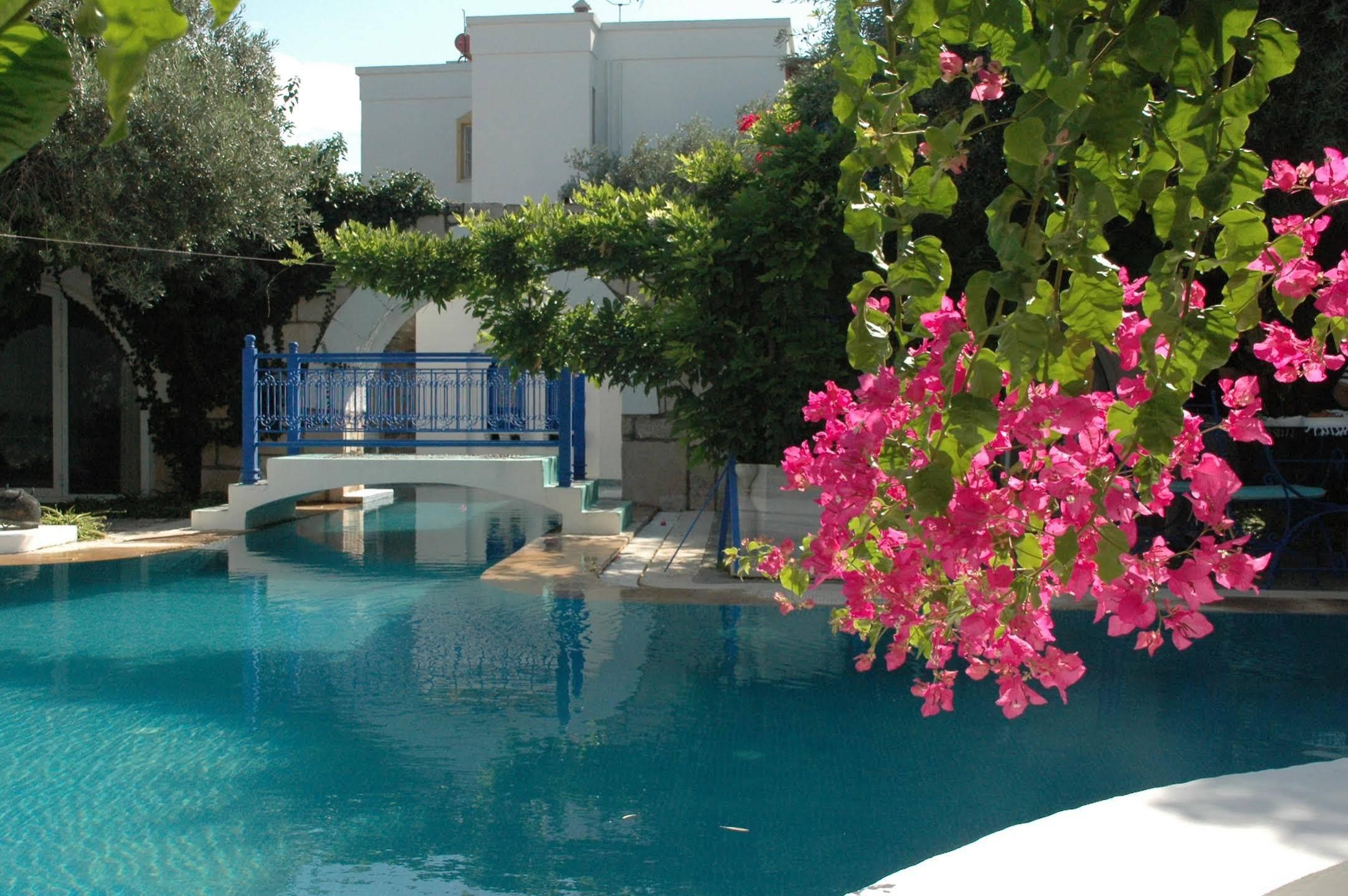 Villa Oliva Butik Hotel Konacik Luaran gambar