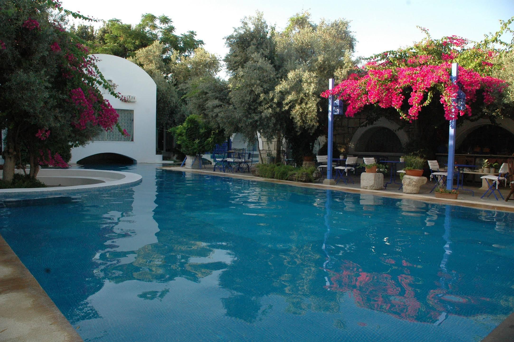 Villa Oliva Butik Hotel Konacik Luaran gambar